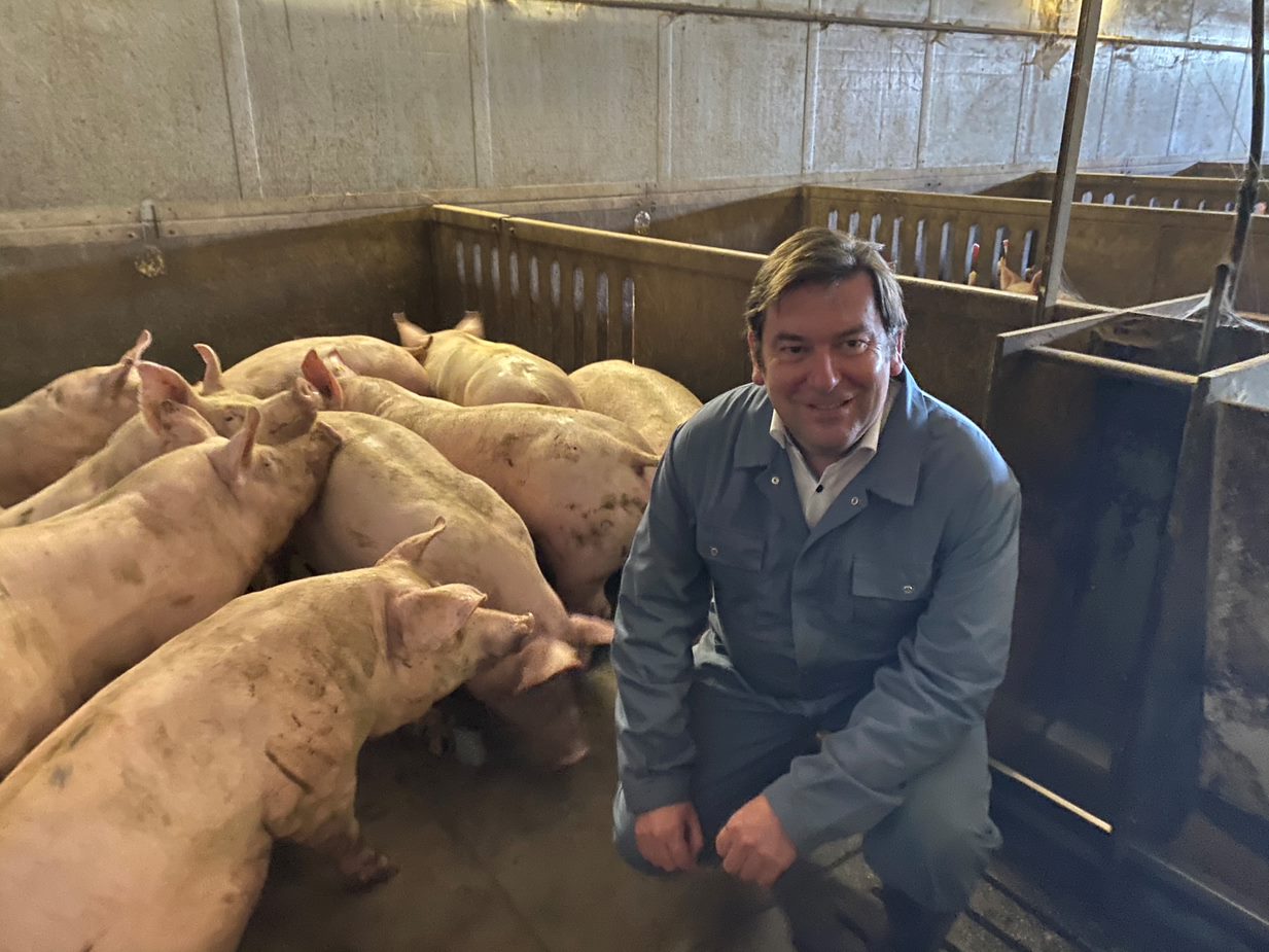 Ondersteuning in de varkenshouderij