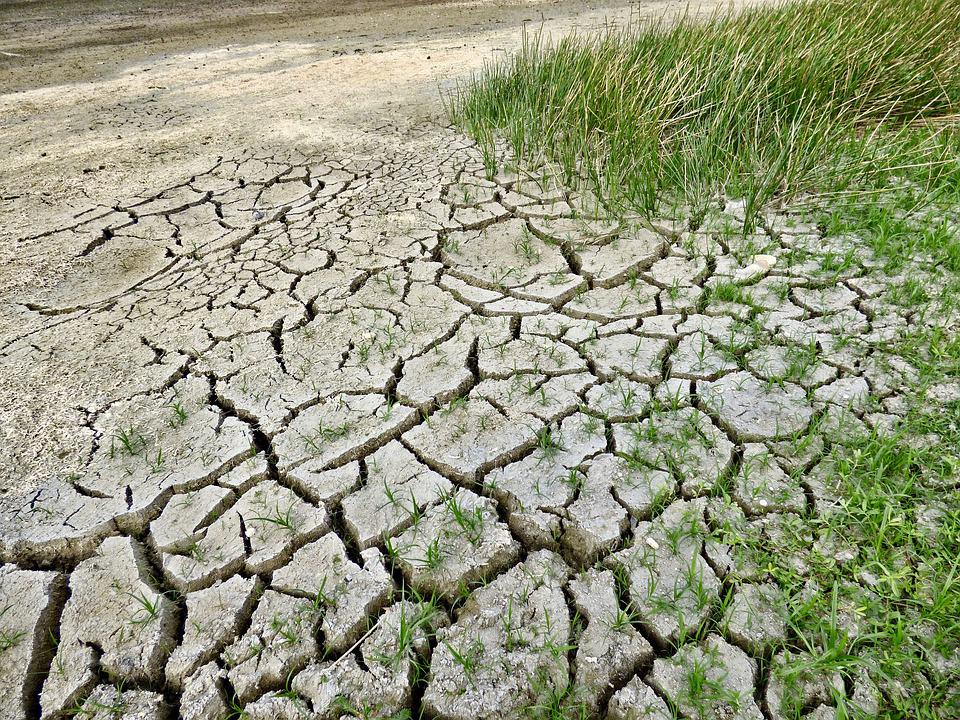 Wordt de droogte van 2022 als ramp erkend? 
